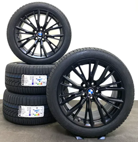 Article 5WZ6